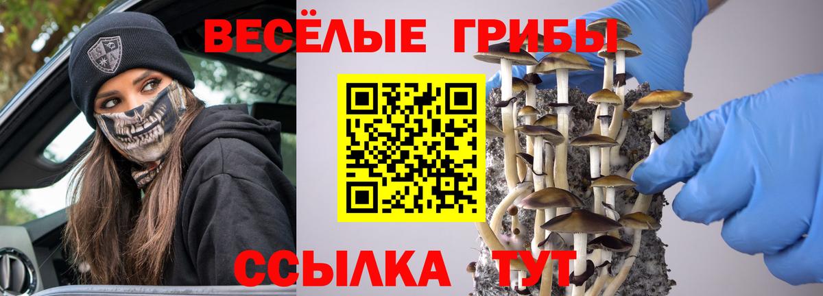 Ростов-на-Дону  Галлюциногенные грибы мицелий  Вход с VPN 